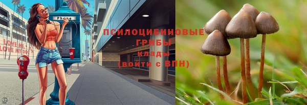 прущие грибы Бутурлиновка