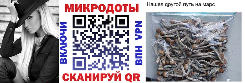 ОМГ ОМГ маркетплейс  Наволоки  Псилоцибиновые грибы мицелий 